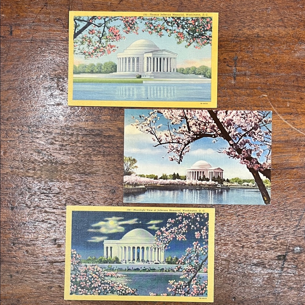 Vintage Washington D.C. Cherry Blossoms Postcards Set of 3